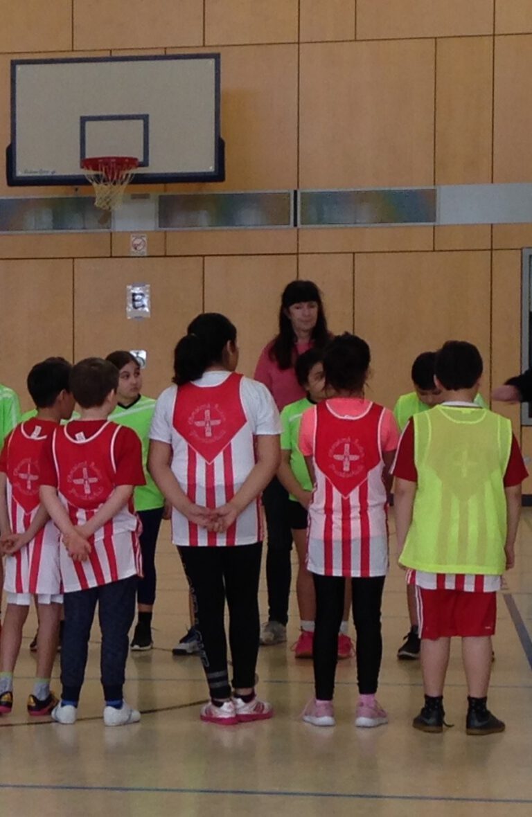 Alba OpenGym