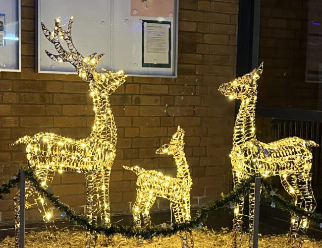 Wir wünschen⭐️ allen eine schöne Adventszeit!