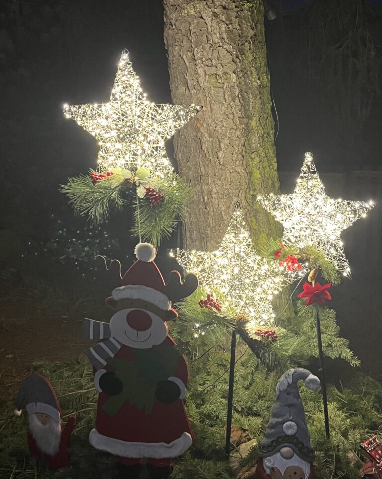 Frohe Weihnachten 🌟🎄🌟ein schönes Fest!