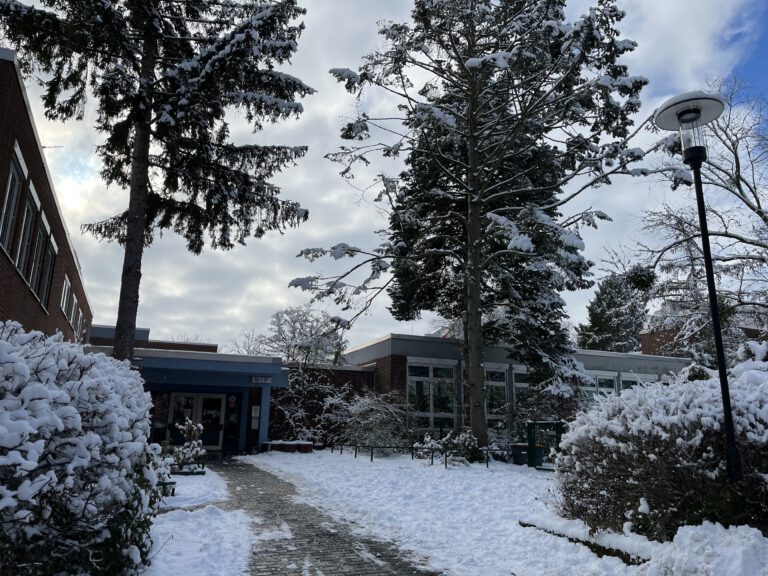 Ein frohes und gesundes neues ❄️☃️ 2026!