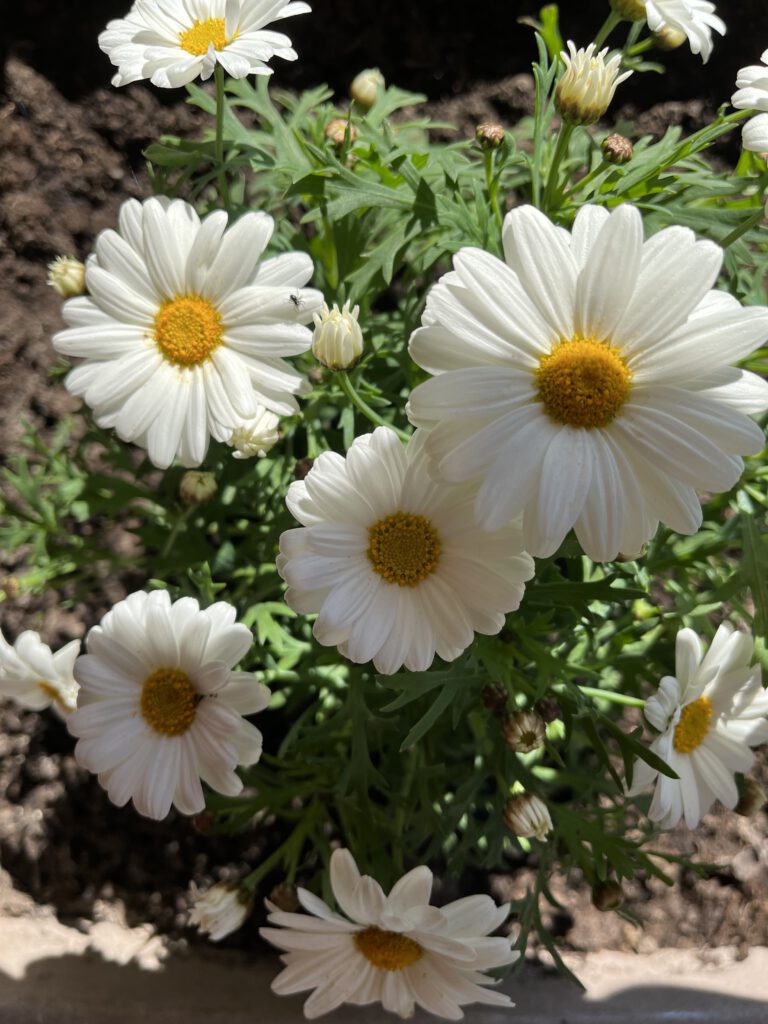 Bald sind Osterferien!